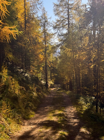 sasha-loochi-pumpkin-spice-latte-brown