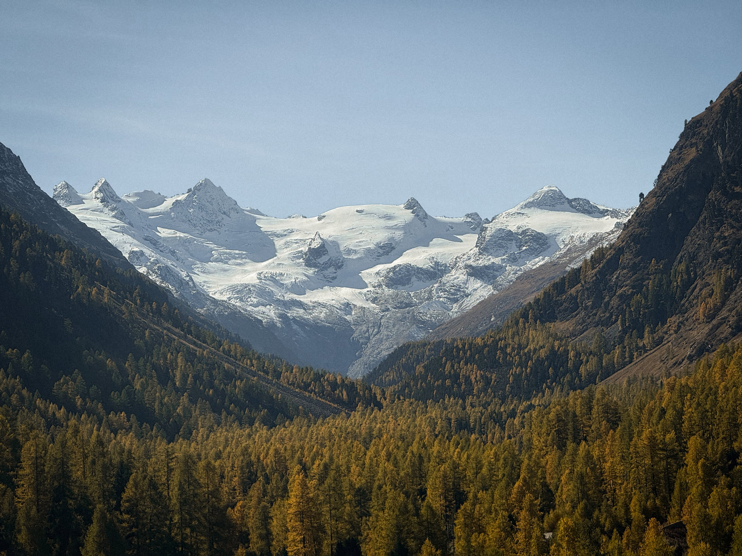 sasha-loochi-pumpkin-spice-latte-brown