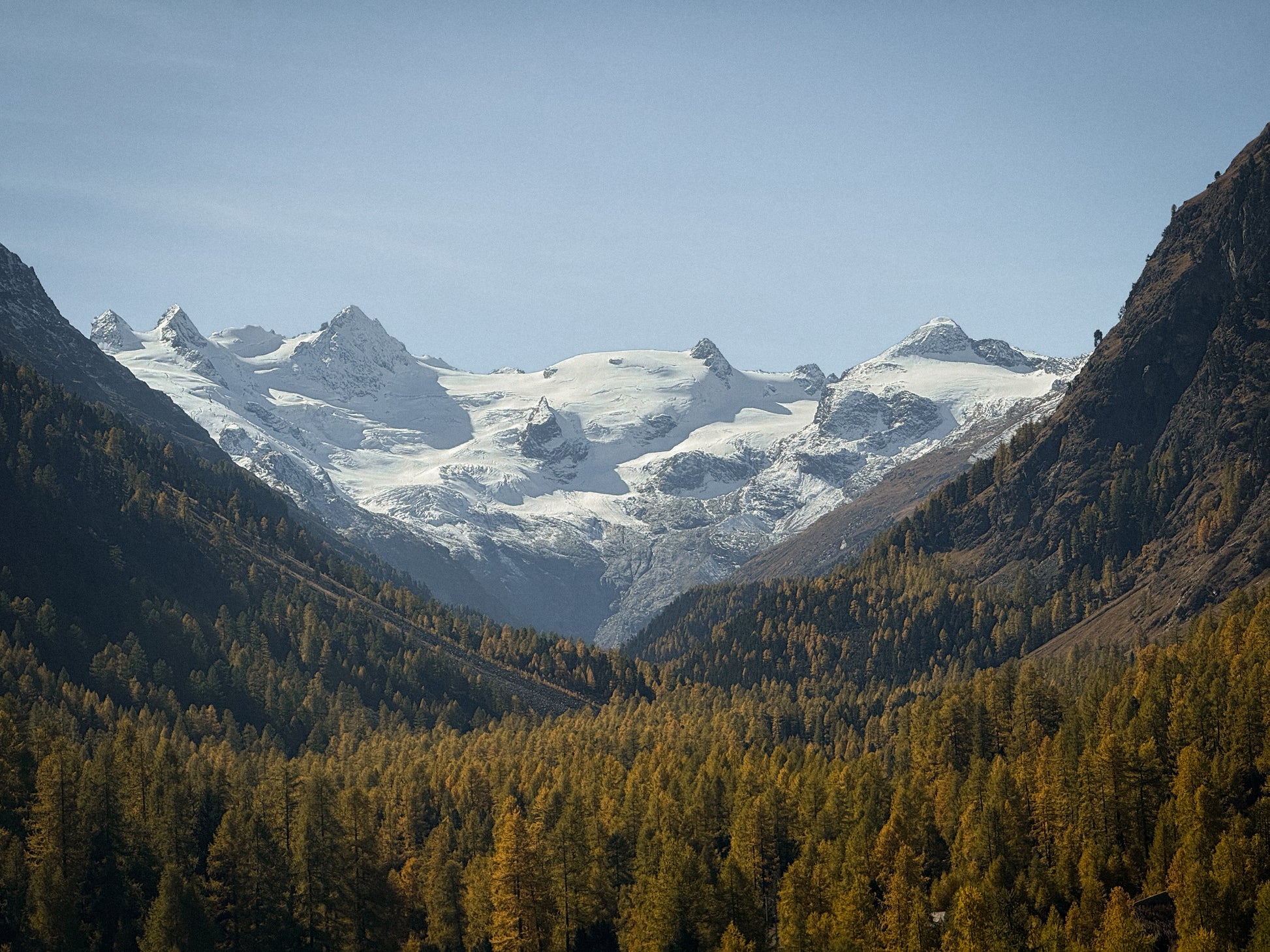 sasha-loochi-pumpkin-spice-latte-brown