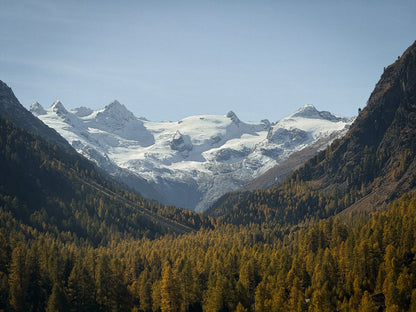 sasha-loochi-pumpkin-spice-latte-brown